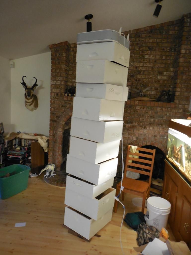 Latex Enamel paint not drying? Beesource Beekeeping Forums